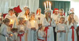 Lucia 2011